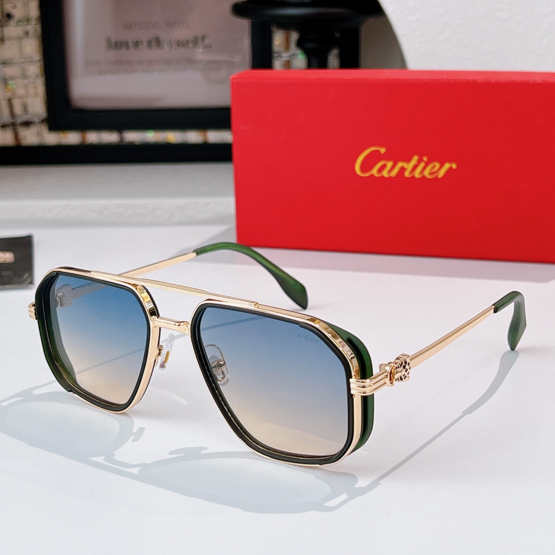 Cartie*MODEL：CT0693SIZE：53口21-140🔝🔝