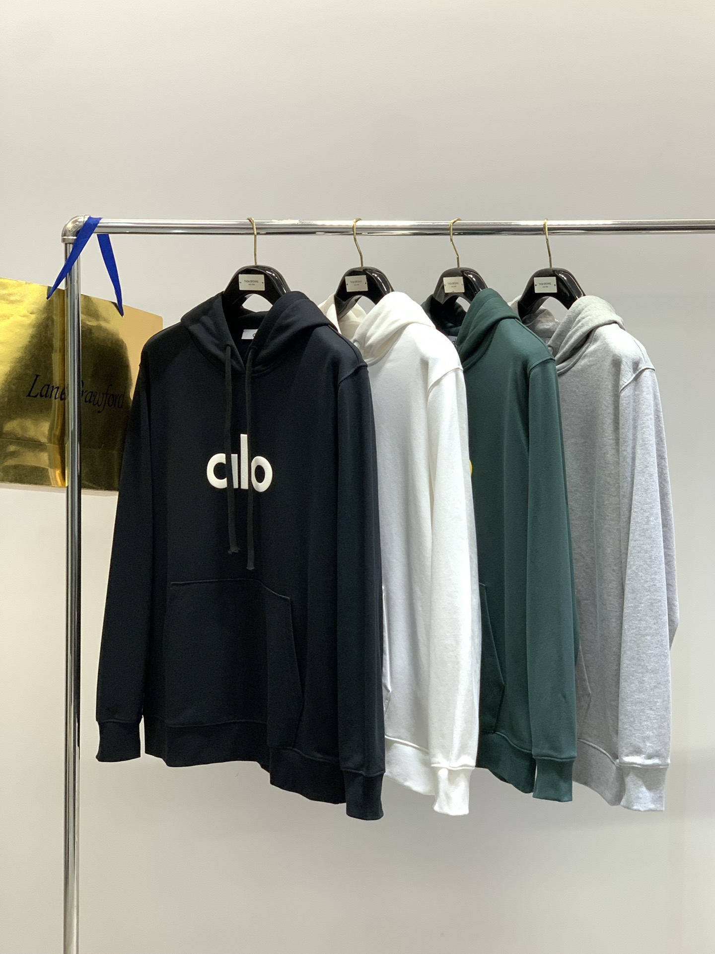 ，alo 阿洛，2025秋季最新款，专柜同步有售，原单狠货，时尚休闲连帽卫衣，上身很有特点！吸睛而有亮点