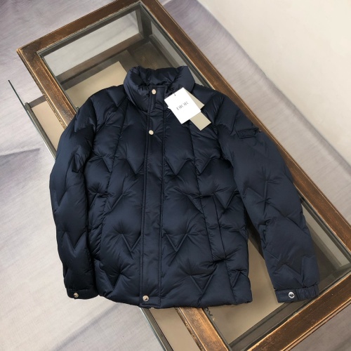 DIOR Stand-Collar Down Jacket for Men, Padded, Warm, and Comfortable