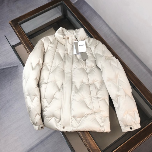 DIOR 25FW Stand Collar Down Jacket - Stylish, Warm, and Comfortable 1 DIOR 25FW Stand Collar Down Jacket - Stylish, Warm, and Comfortable