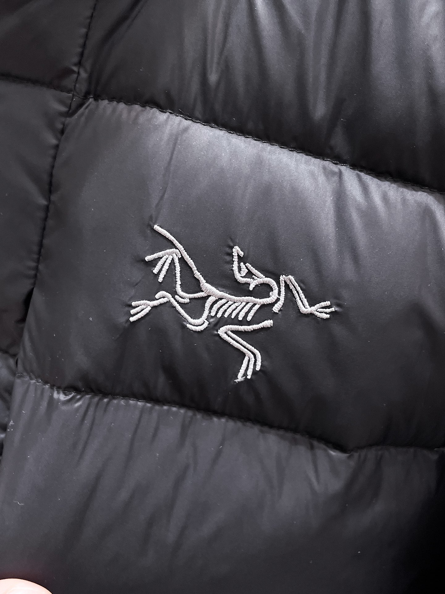 P450  始祖鸟  2025秋冬新款立领羽绒服外套，爆款来袭，高版本。内充90绒，蓬松又保暖，品相超级好。进口防风防雨面料，软糯亲肤，抗皱不沾灰，立挺有型，时尚绝绝子；奢华有型，辨识度极高；一眼就能看到的好品质。适合凹各种造型，内搭随意，时尚感爆棚。码数 M-XXL  码数偏大  175.140穿M   xxl可穿200斤