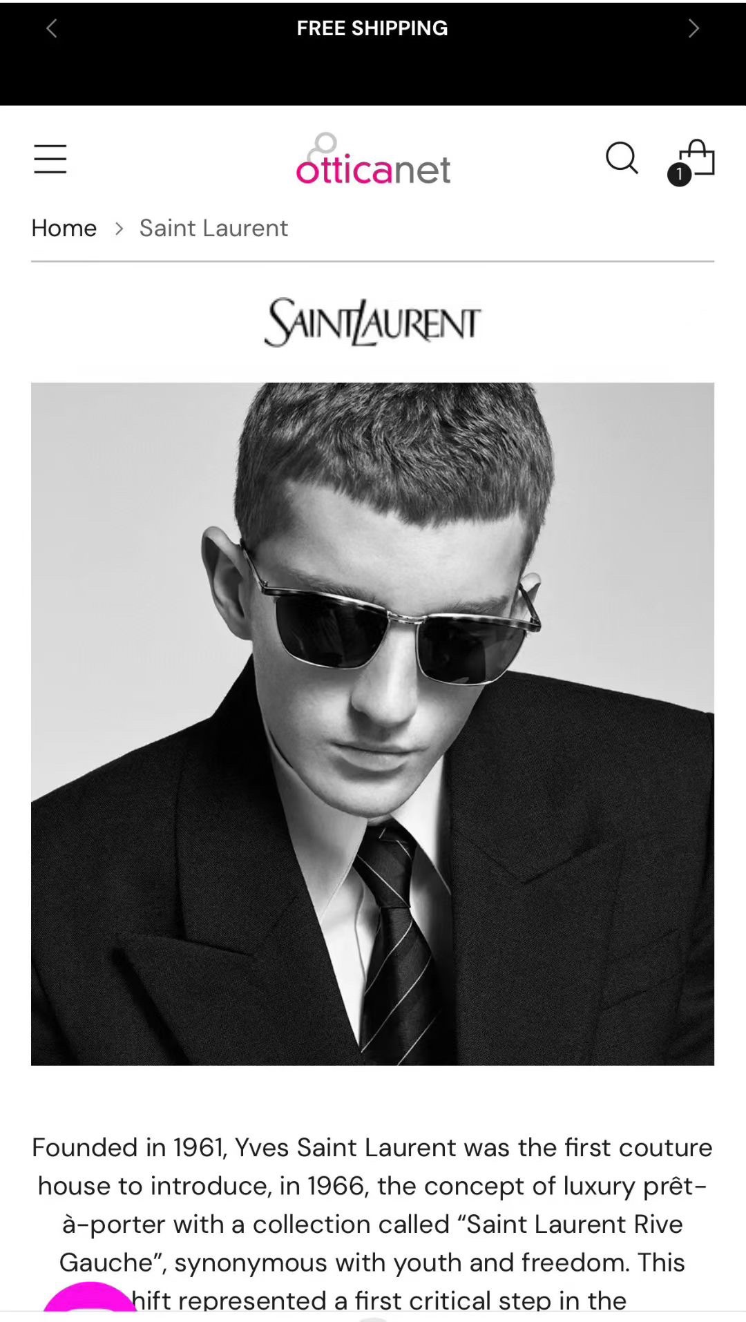 ‼️ 官网图 SAINT LAUREN*💫💫💫MODEL：SL 795JOE💫💫💫SIZE：57口15-