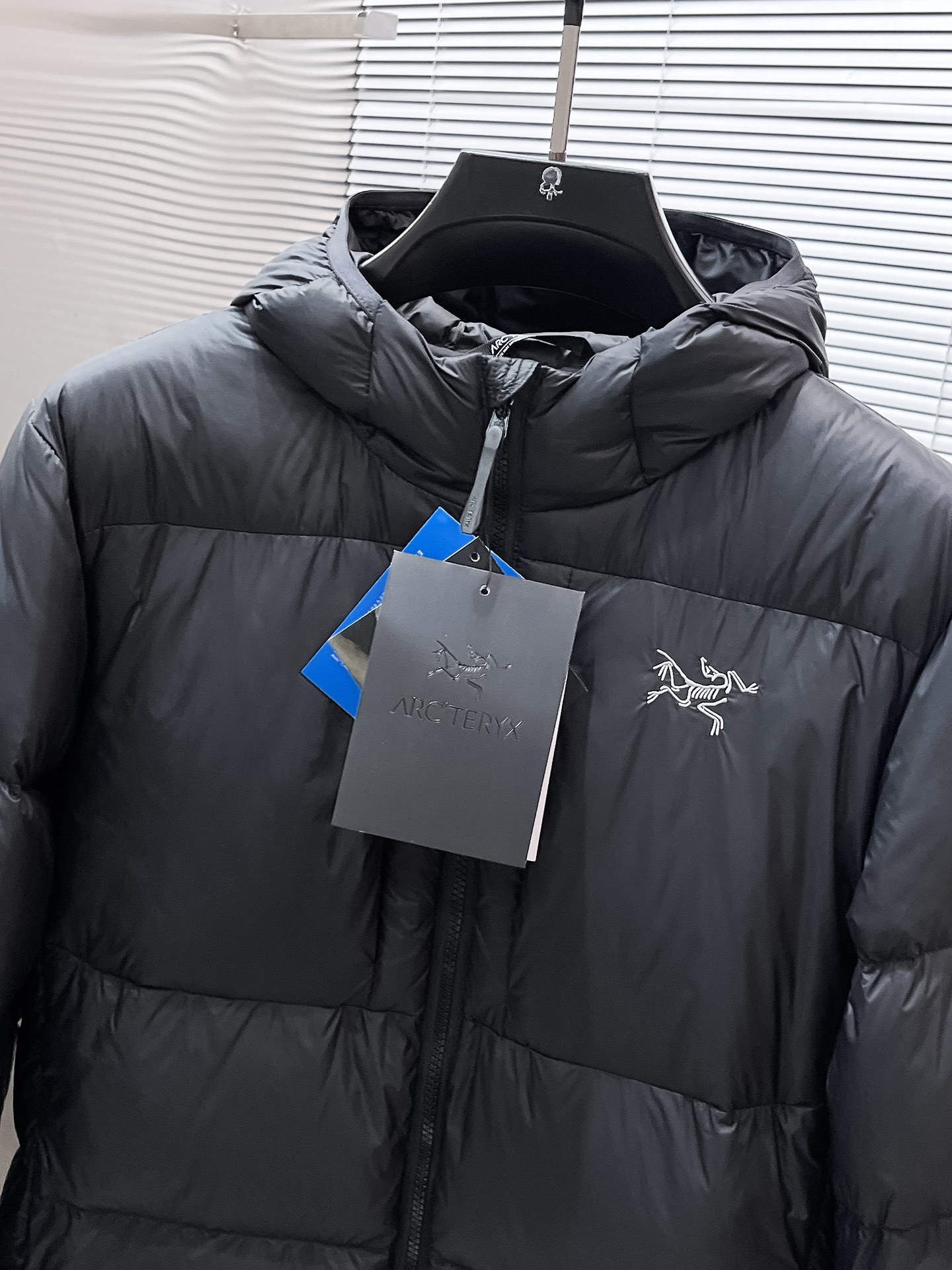 P450  始祖鸟  2025秋冬新款连帽羽绒服外套，爆款来袭，高版本。内充90绒，蓬松又保暖，品相超级好。进口防风防雨面料，软糯亲肤，抗皱不沾灰，立挺有型，时尚绝绝子；奢华有型，辨识度极高；一眼就能看到的好品质。适合凹各种造型，内搭随意，时尚感爆棚。码数 M-XXL  码数偏大  175.140穿M   xxl可穿200斤