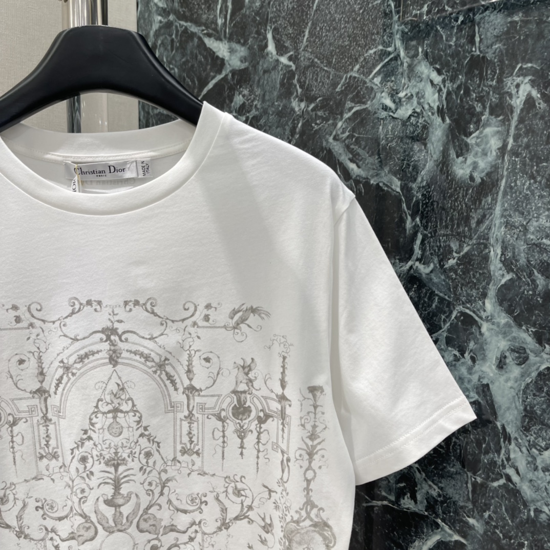 Ｄ家 25秋冬新款 建筑植物印花短袖T恤 正面复古建筑+植物印花 艺术感满满辨识度超高 搭配纱裙，牛仔裤