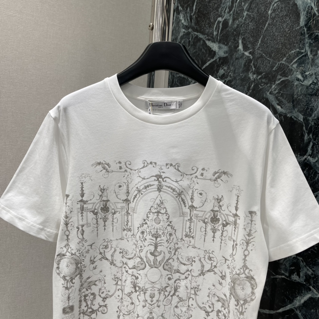 Ｄ家 25秋冬新款 建筑植物印花短袖T恤 正面复古建筑+植物印花 艺术感满满辨识度超高 搭配纱裙，牛仔裤