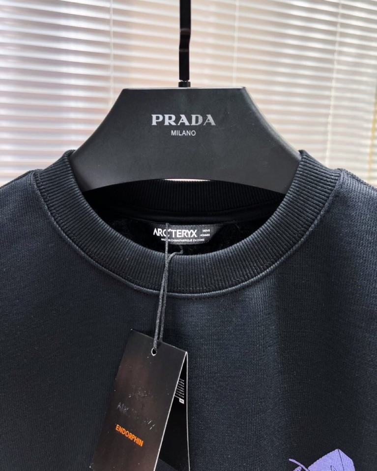 Gucci 古奇2025Ss秋冬新款圆领加绒卫衣，精美工艺圆领款，特制纯棉420克面料，柔软贴身科技面料