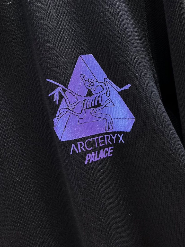 Gucci 古奇2025Ss秋冬新款圆领加绒卫衣，精美工艺圆领款，特制纯棉420克面料，柔软贴身科技面料