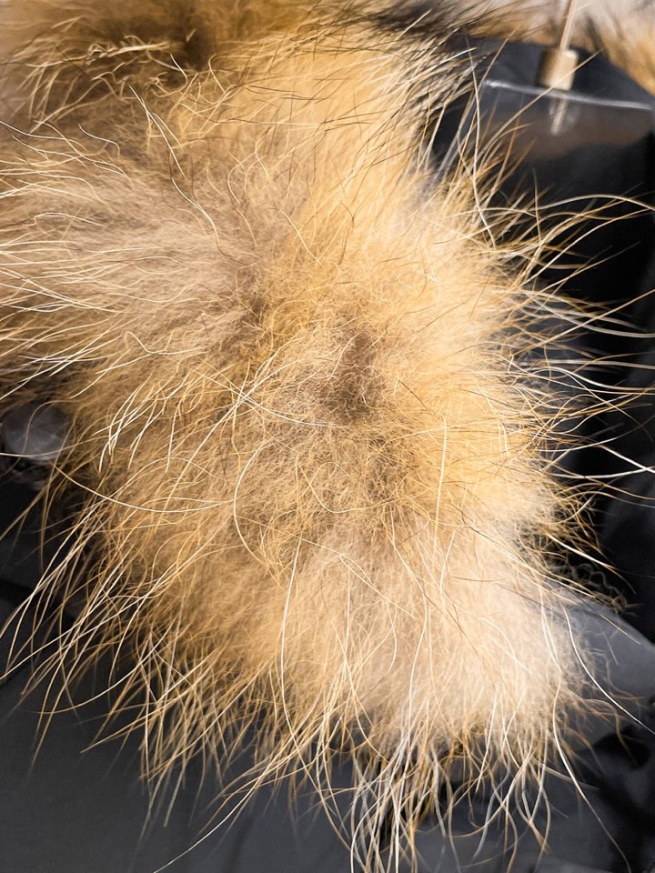 骆驼 官网款2025秋冬新款羽绒服。这款号称羽绒服届最高端的，全部90绒的三标齐全带着经典的Logo组合