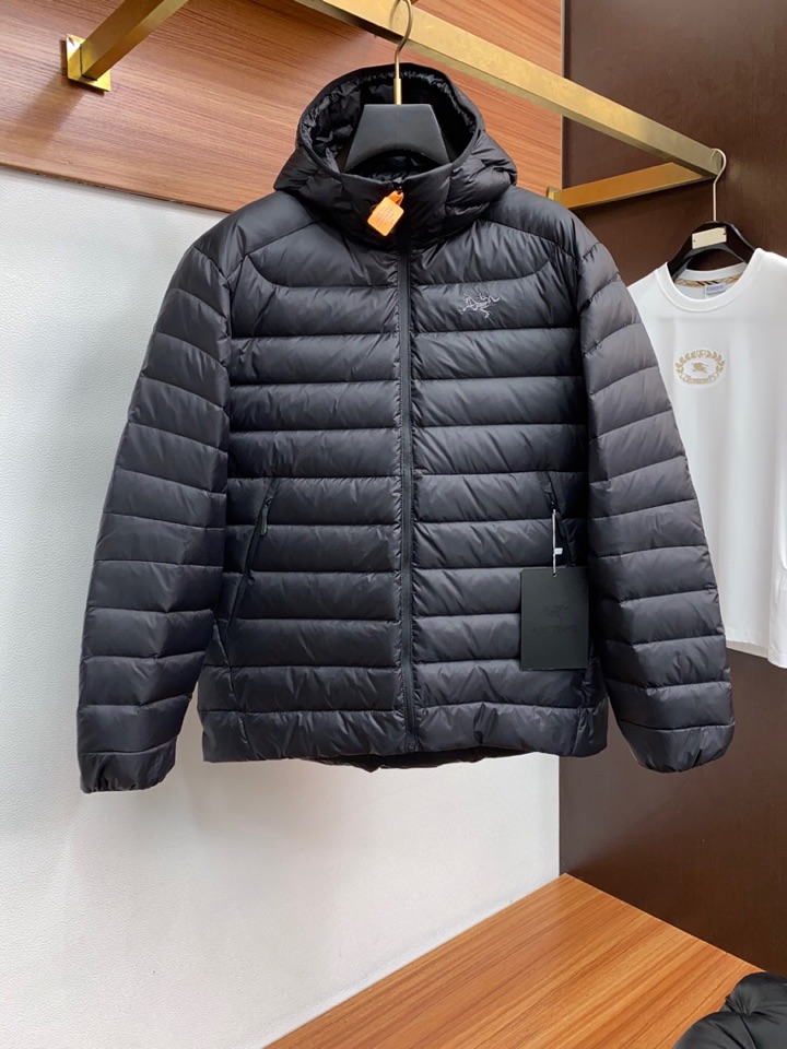 始祖鸟 2025秋冬新款🆕羽绒服 原版订制五金配件全进口原版定制 欢迎对比 绝对的高品质 采用顶级90白