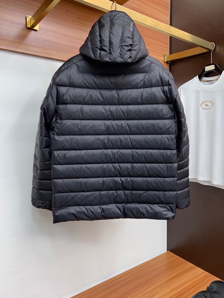 始祖鸟 2025秋冬新款🆕羽绒服 原版订制五金配件全进口原版定制 欢迎对比 绝对的高品质 采用顶级90白