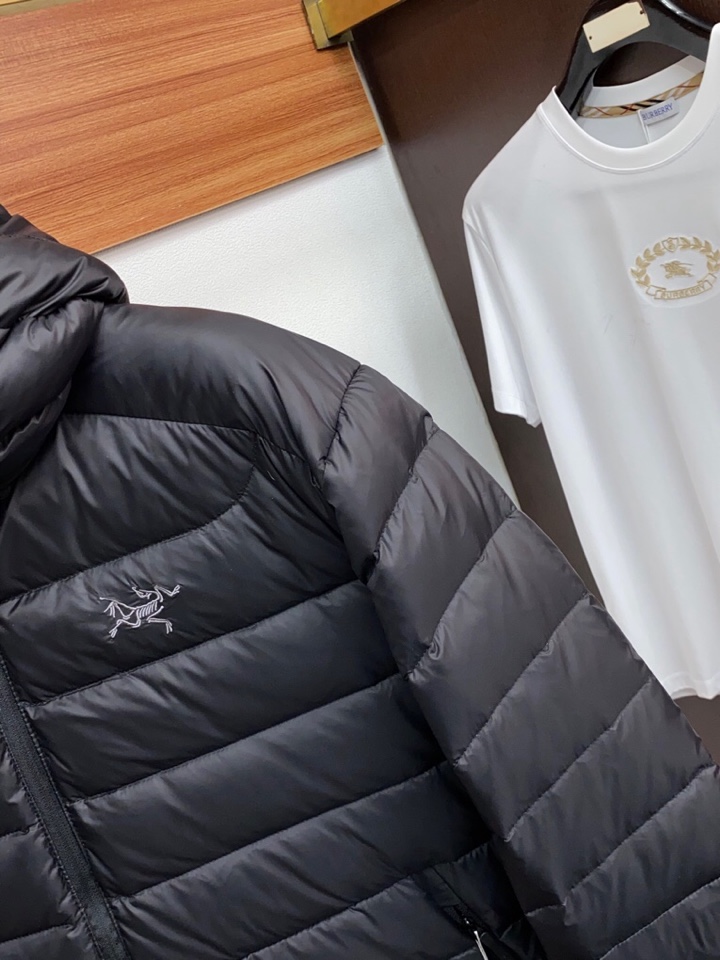 始祖鸟 2025秋冬新款🆕羽绒服 原版订制五金配件全进口原版定制 欢迎对比 绝对的高品质 采用顶级90白