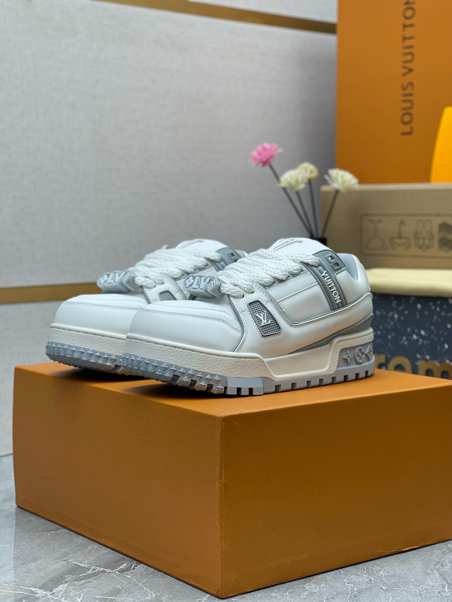 Louis Vuitton Sneakers 13454