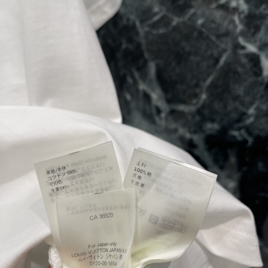 路易 26春季新款 丛林刺绣T恤 正面 L.V.M 字母+鳄鱼 斑马 棕榈树刺绣 热带氛围感满满 宽松版