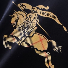 BUR~经典格纹大战马logo印花圆领短袖T恤 新品 胸前大幅战马印花,是BUR家跨越世纪的标志性图腾;清晰还原品牌经典 BUR~经典格纹大战马logo印花圆领短袖T恤 新品 胸前大幅战马印花,是BUR家跨越世纪的标志性图腾;清晰还原品牌经典