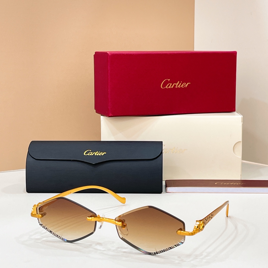 Cartie*✨✨✨MODEL：CT0917S✨✨✨SIZE:135✨✨✨钛～～