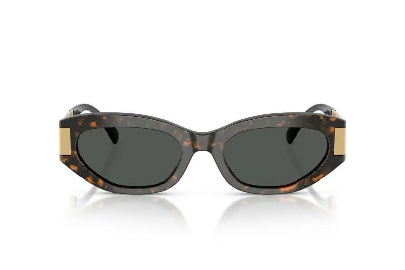 ‼️ 官网图 VERSAC*🌟🌟🌟MODEL：VE4501🌟🌟🌟SIZE：54口18-147🌟🌟🌟