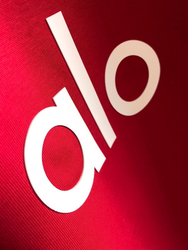 ALO（高版本）\n2026SS春夏最新款圆领时尚短袖圆领T恤，官网同步，纯棉面料！贴肤舒适，耐看又好穿