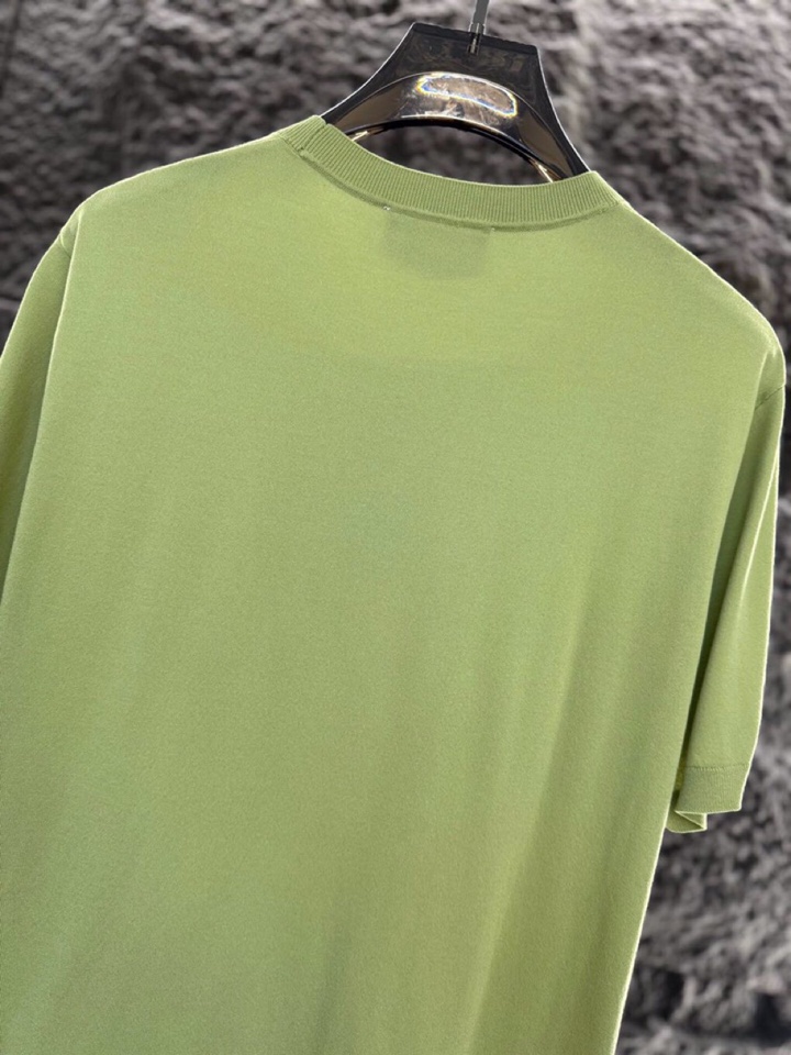 loro Piana 诺悠翩雅 loro Piana ss 早春新品男士棉质混纺短袖圆领T恤针织衫\n颜
