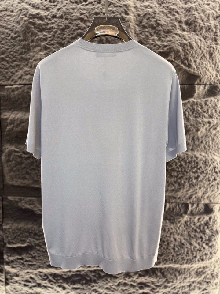 loro Piana 诺悠翩雅 loro Piana ss 早春新品男士棉质混纺短袖圆领T恤针织衫\n颜