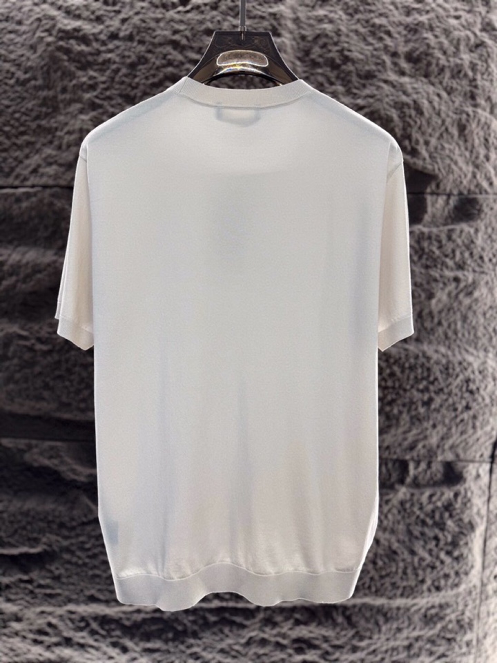 loro Piana 诺悠翩雅 loro Piana ss 早春新品男士棉质混纺短袖圆领T恤针织衫\n颜
