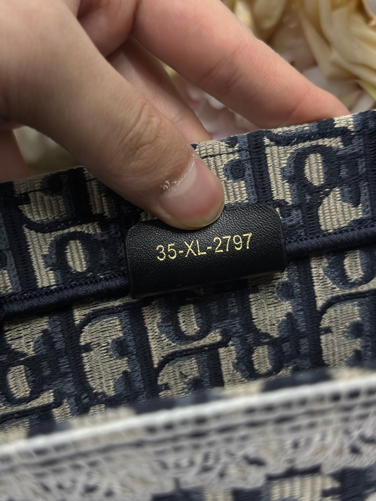 Dior Dio.r Mini Book tote