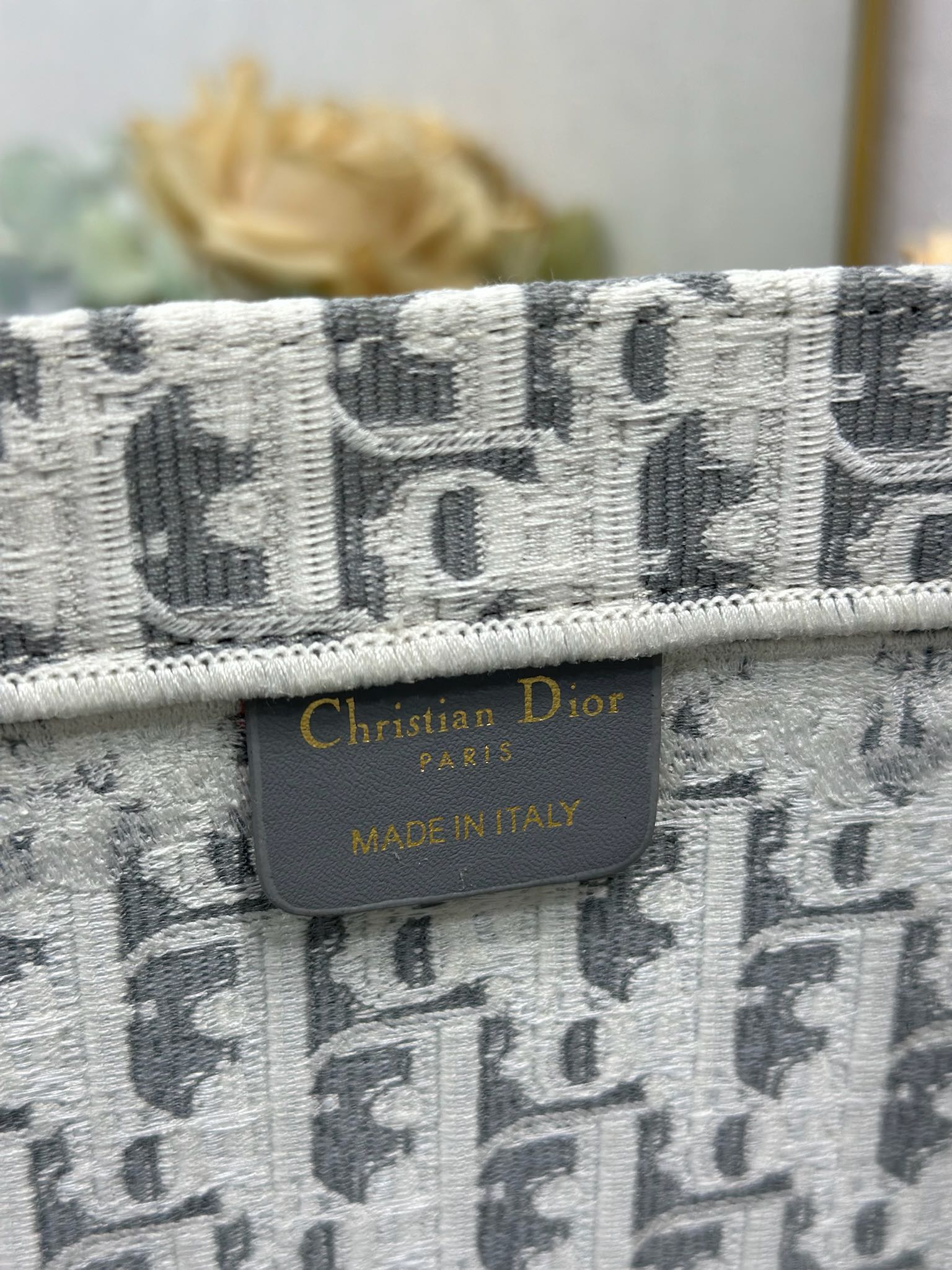 Dior Dior book tote 购物袋