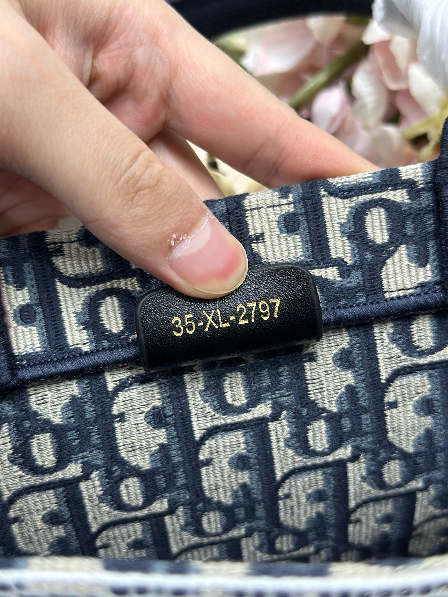 Dior Dio.r Mini Book tote
