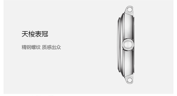 天梭嘉丽系列钢带石英女表T126010
