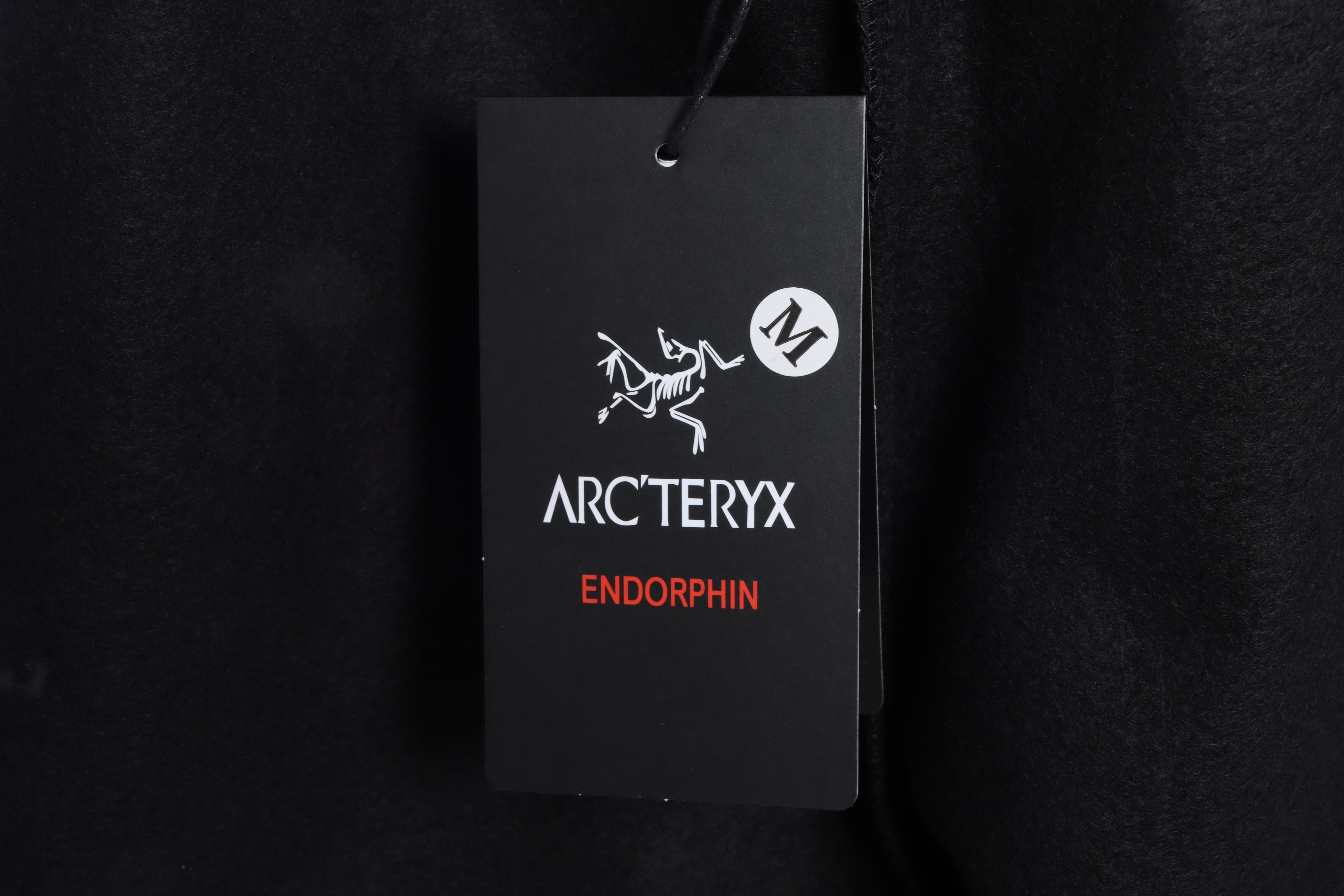 P320 ARC'TERYX 始祖鸟运动梭织防风速干加绒直筒长裤