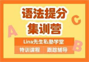 《YL3113-Lina先生私塾学堂-语法提分集训营》