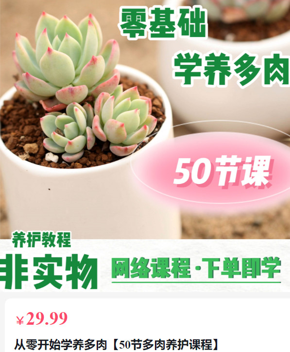 《AL5504-从零开始学养多肉【50节多肉养护课程】欧木优多肉课堂》
