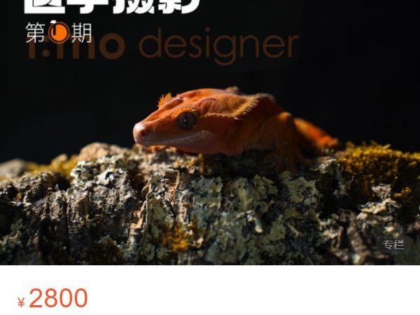 《AL4913-一目学园·医学可视化教育平台-医学摄影网络班·第1期》