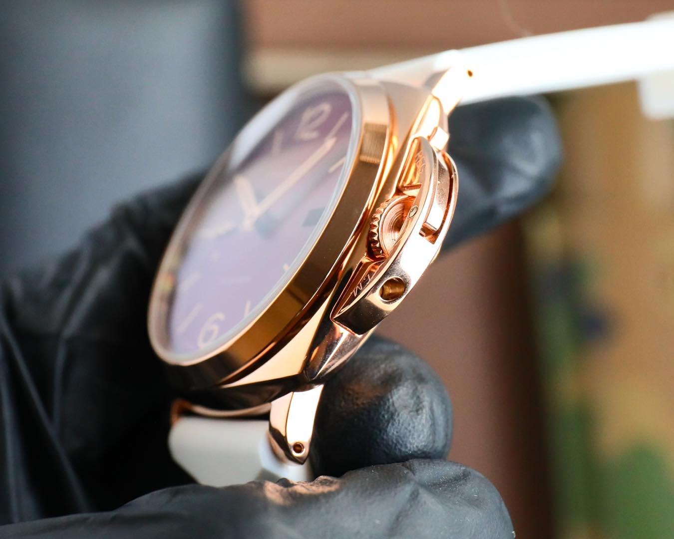 PANERAI Luminor Due Series: White Crustacean 42mm Catalog, Unisex Design for Asian Wrists - 图片 5