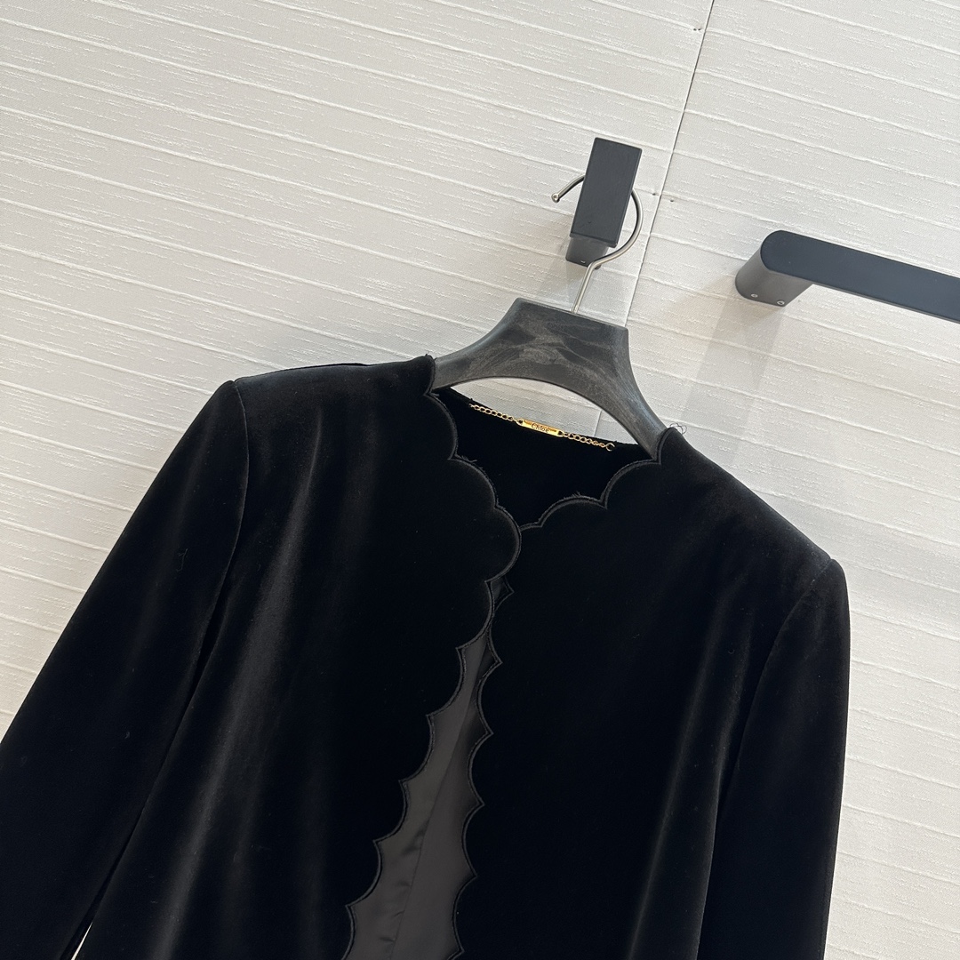 Chic Fall-Winter New Items: Velvet Suit with Embroidered Jacket and Skirt - 图片 4