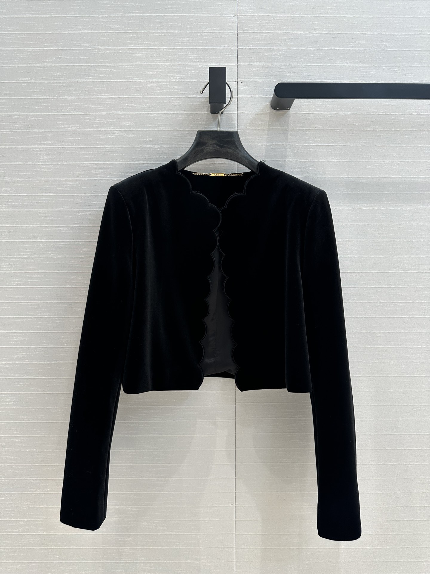 Chic Fall-Winter New Items: Velvet Suit with Embroidered Jacket and Skirt - 图片 2