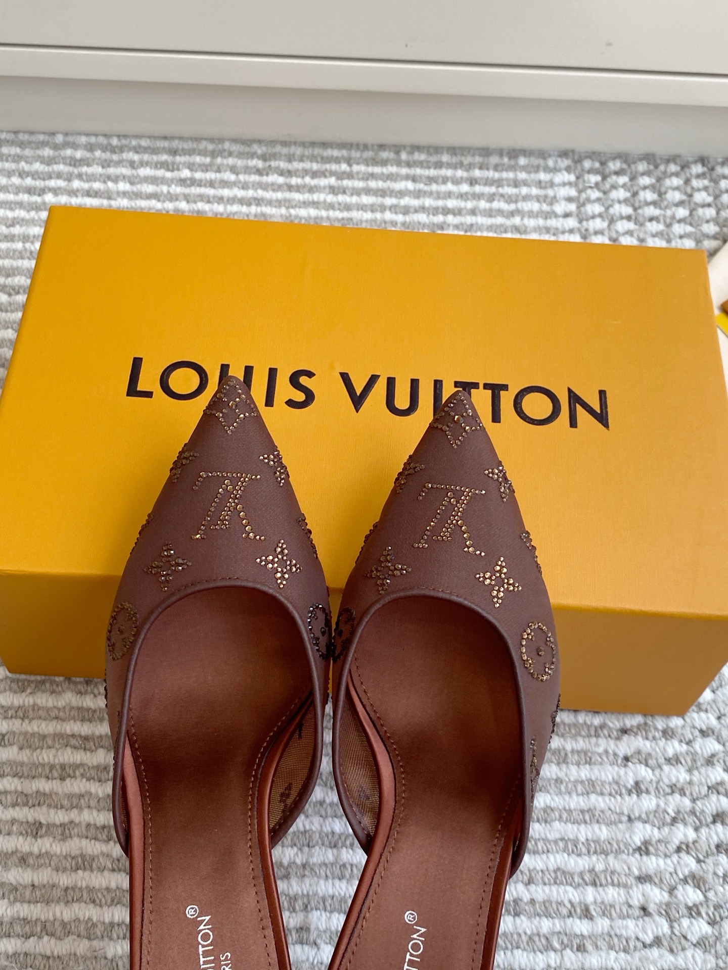 Louis Vuitton Mules