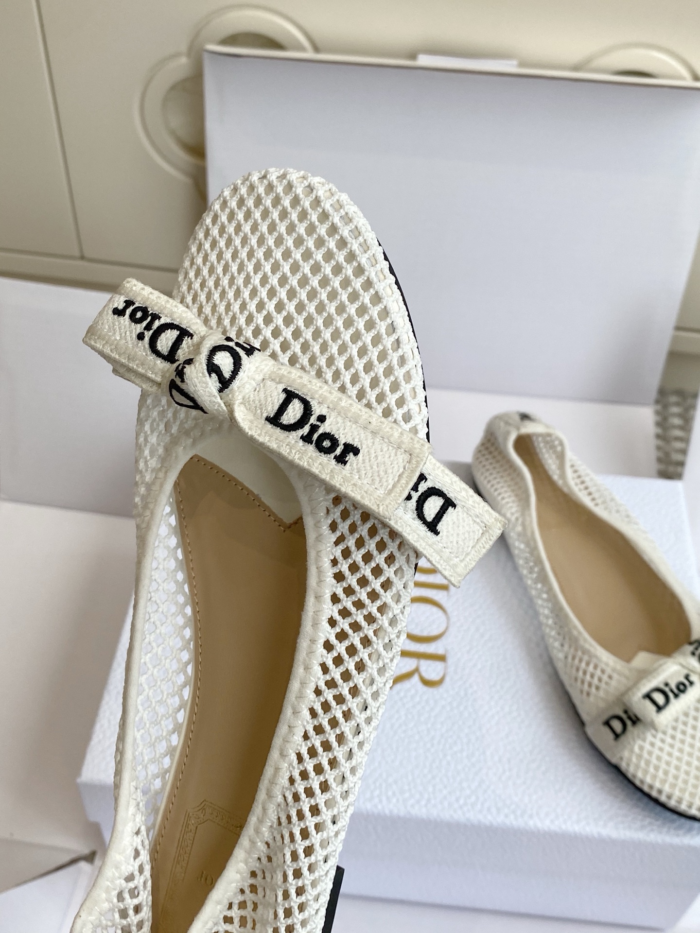 Dior Women Shoes