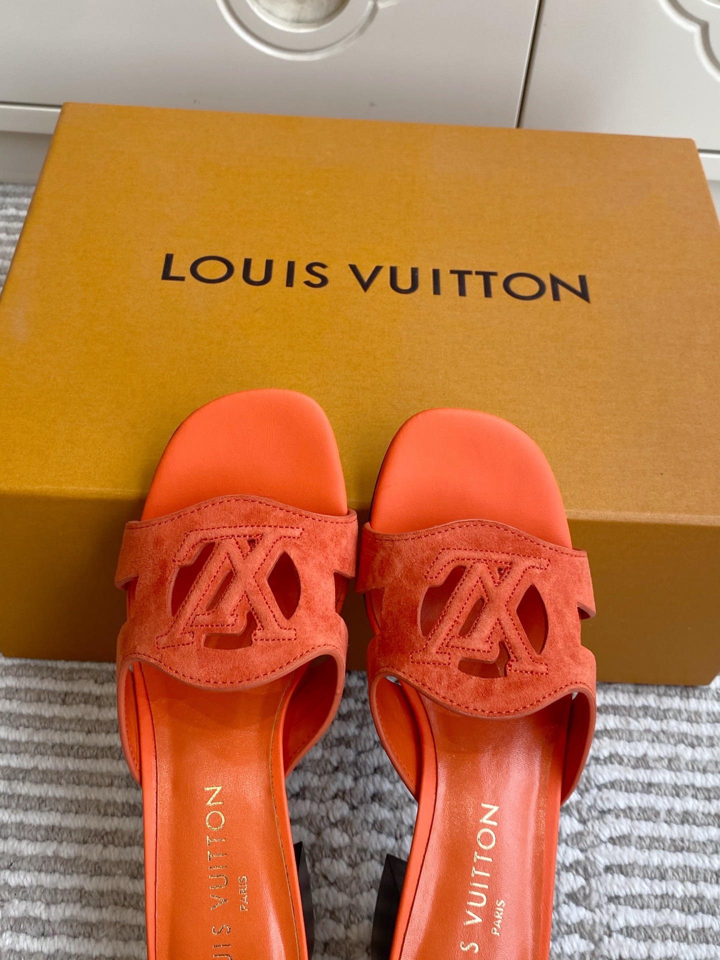 Louis Vuitton Slides