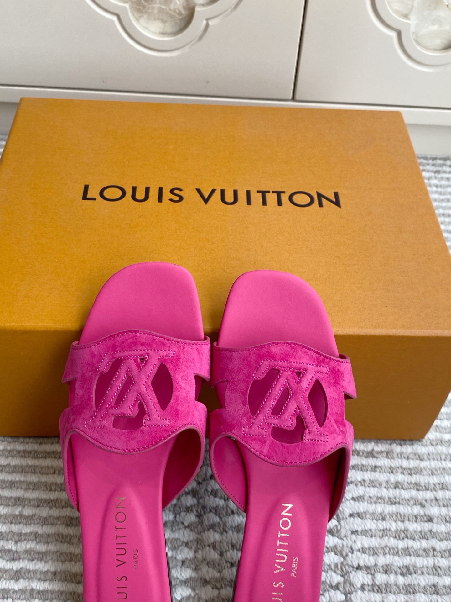 Louis Vuitton Slides