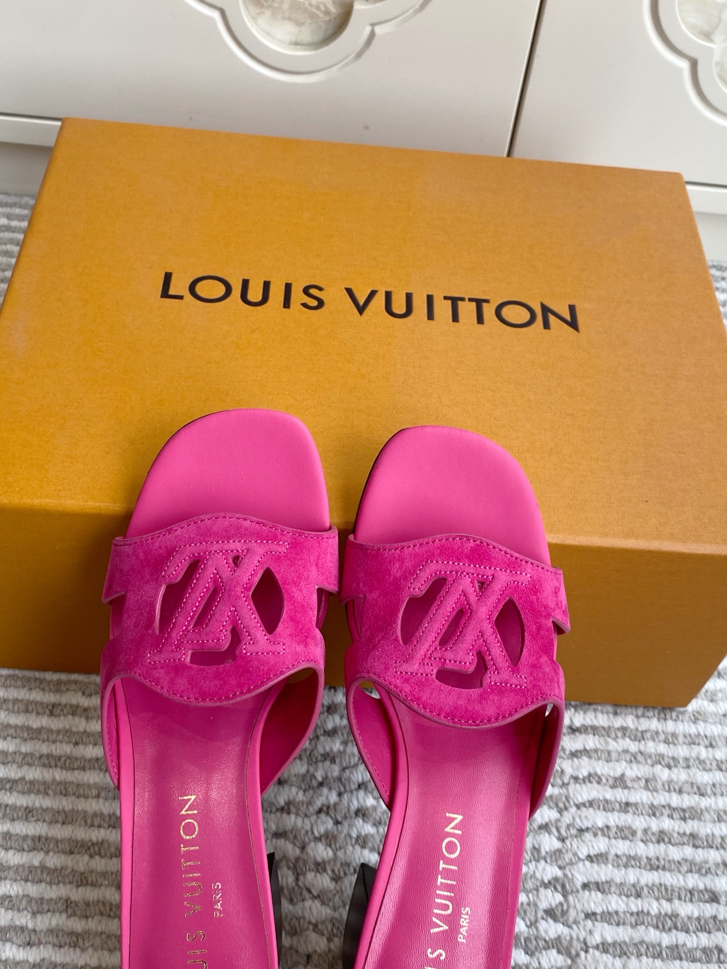 Louis Vuitton Slides