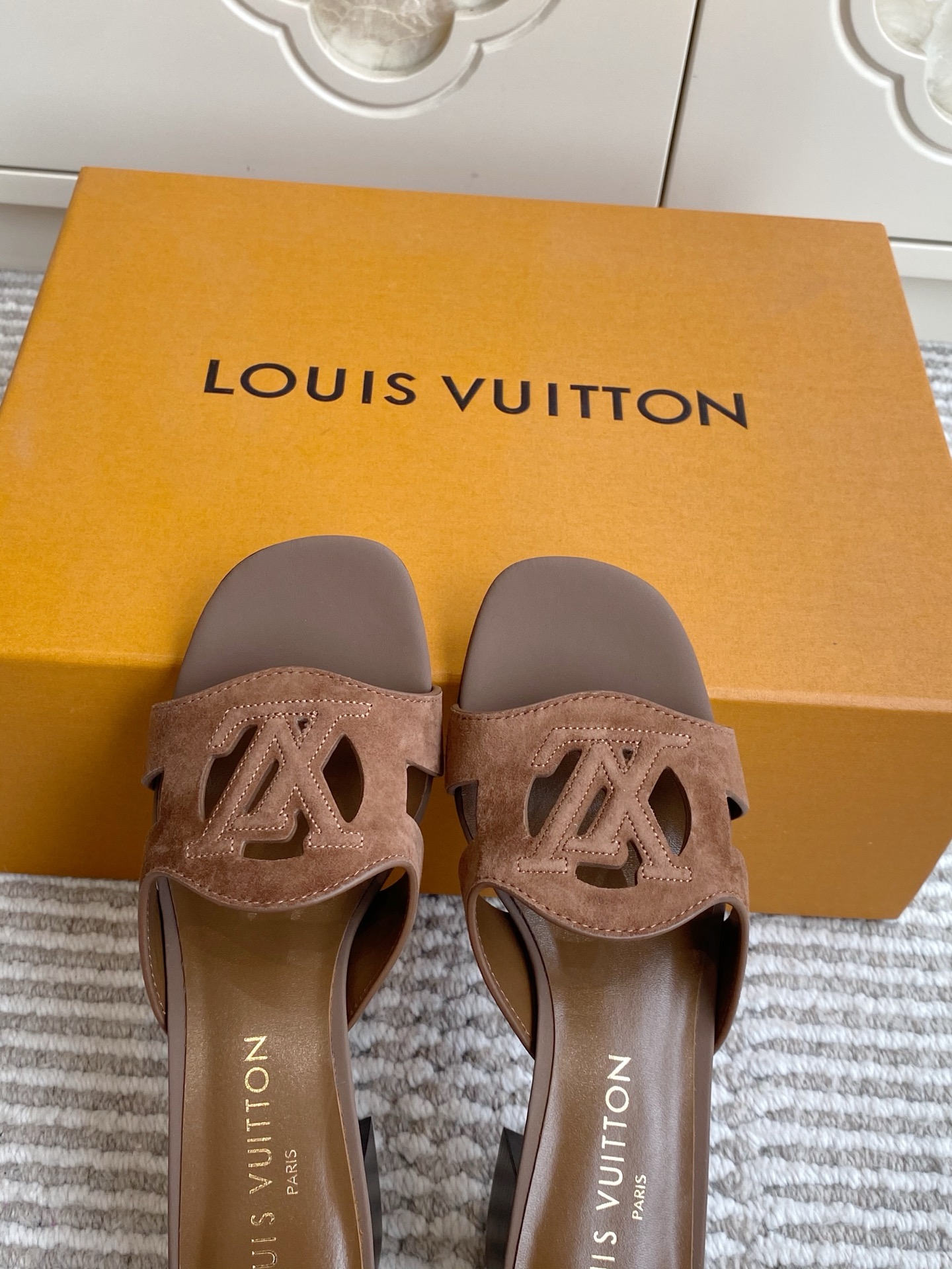 Louis Vuitton Slides