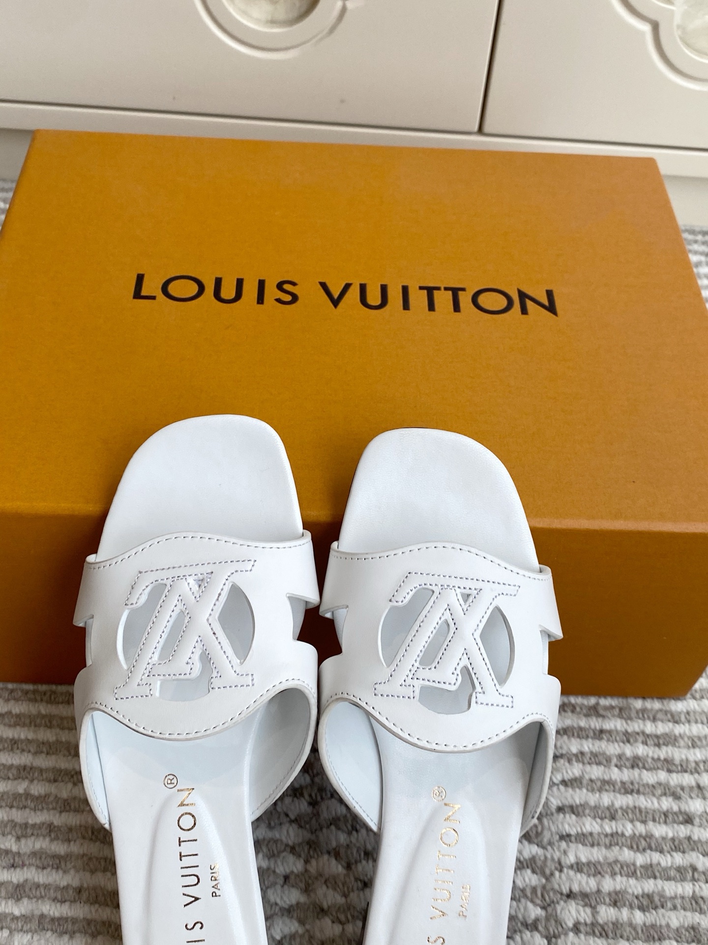Louis Vuitton Slides