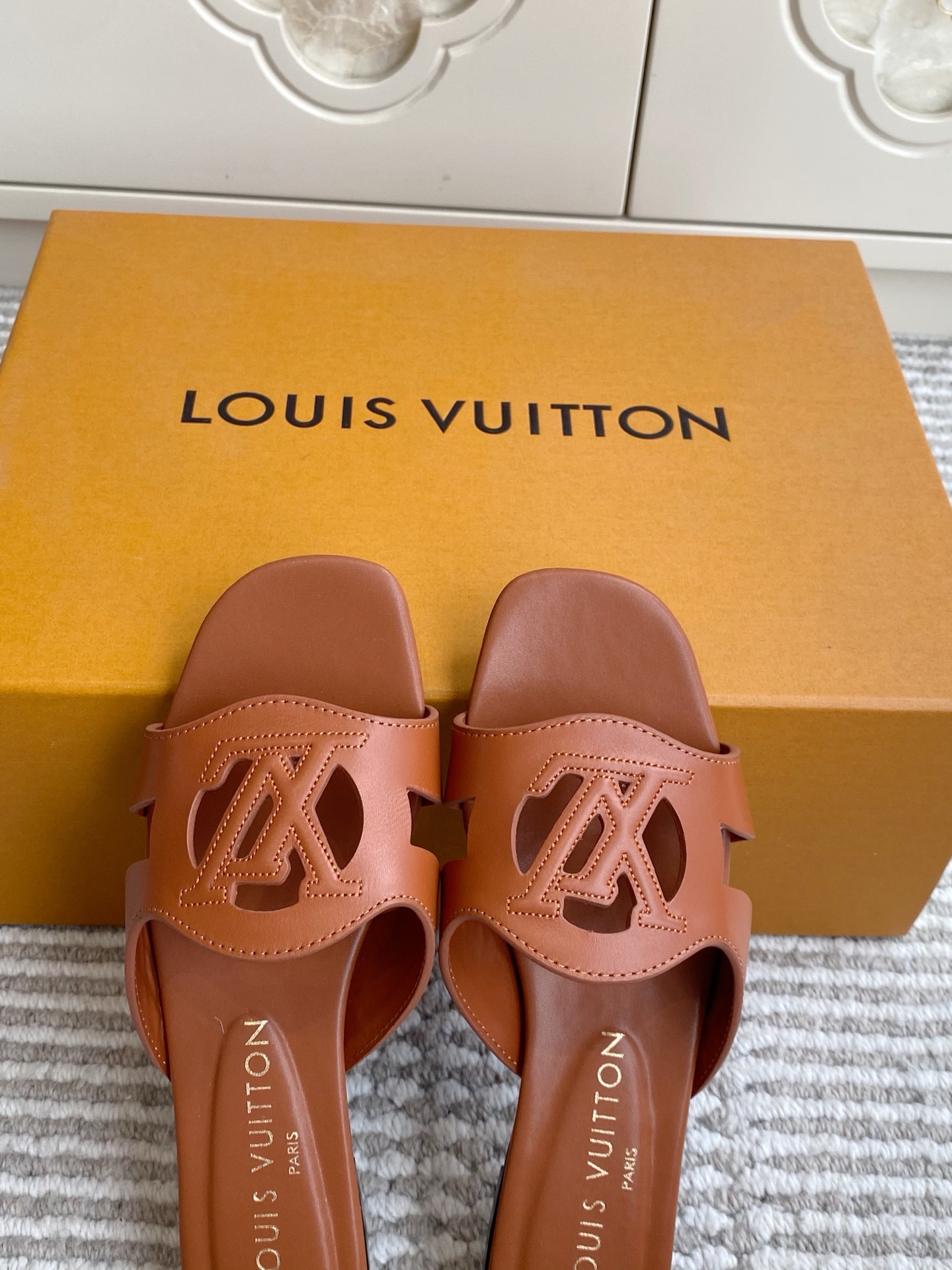 Louis Vuitton Slides