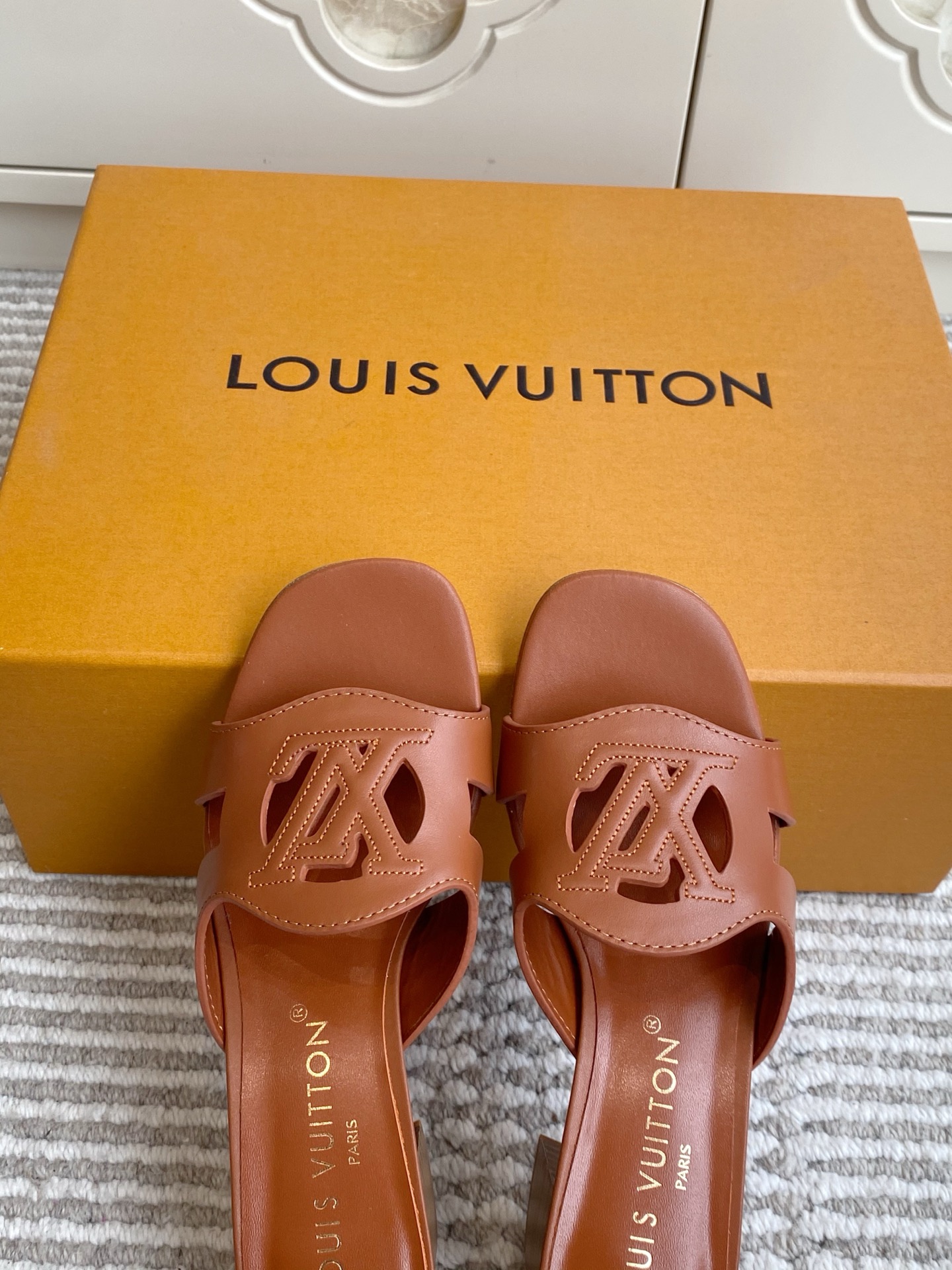 Louis Vuitton Slides