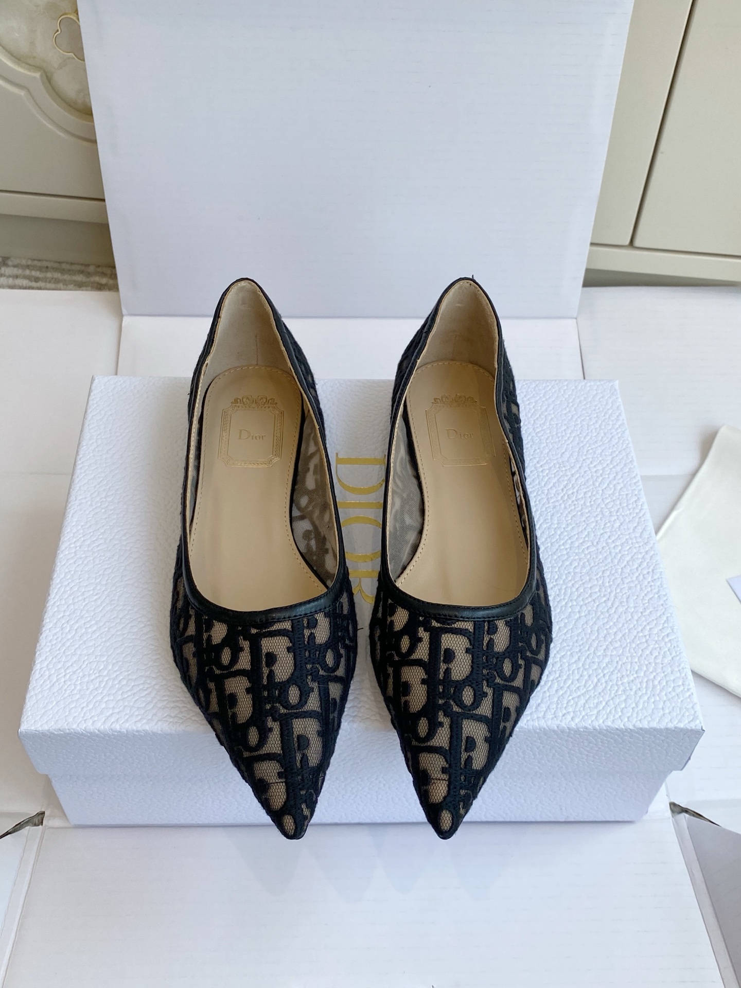 Dior Heels