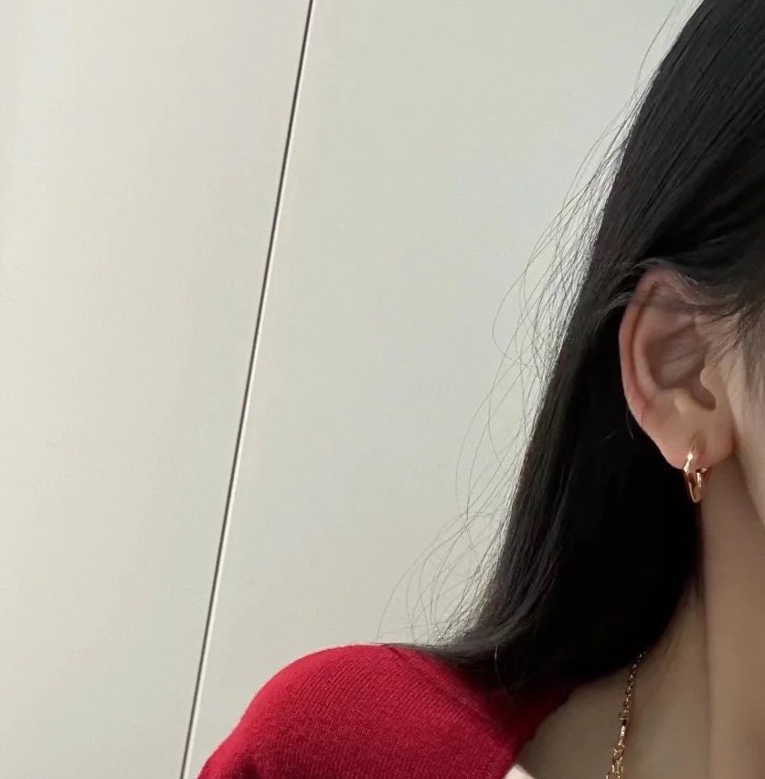 ❤️105包邮/原单代购级别
精工版本】路易威登耳钉  秉承精湛匠艺，以锻造耀目 LV Twig  抛光色泽成就经典 LV 字母的自然化身，流露品牌格调。明星同款 经典百搭 