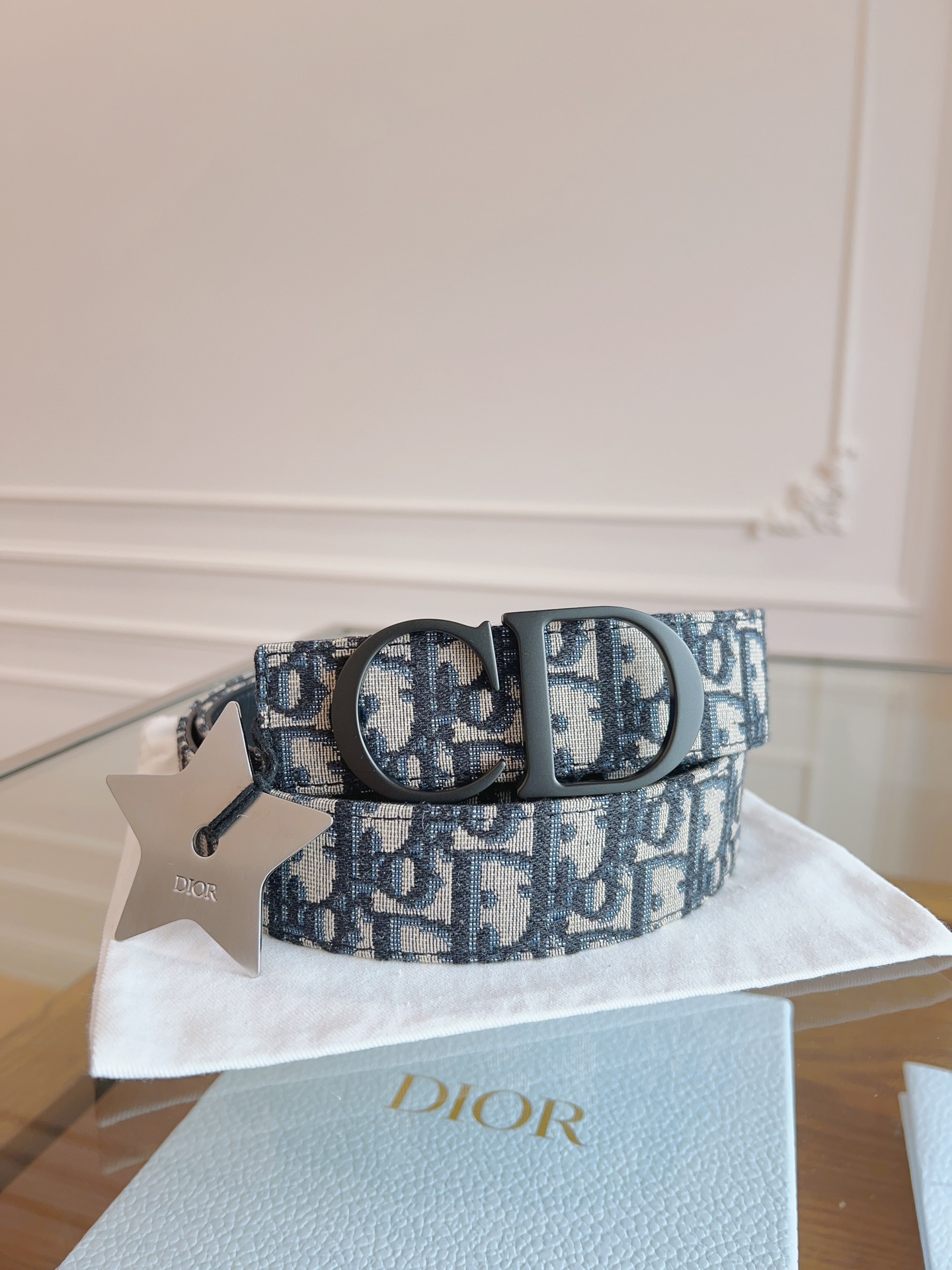 Dior Oblique Canvas and Black Leather Belt, 3.5 cm Width, Silver Star 2 i1714405670 7673 7