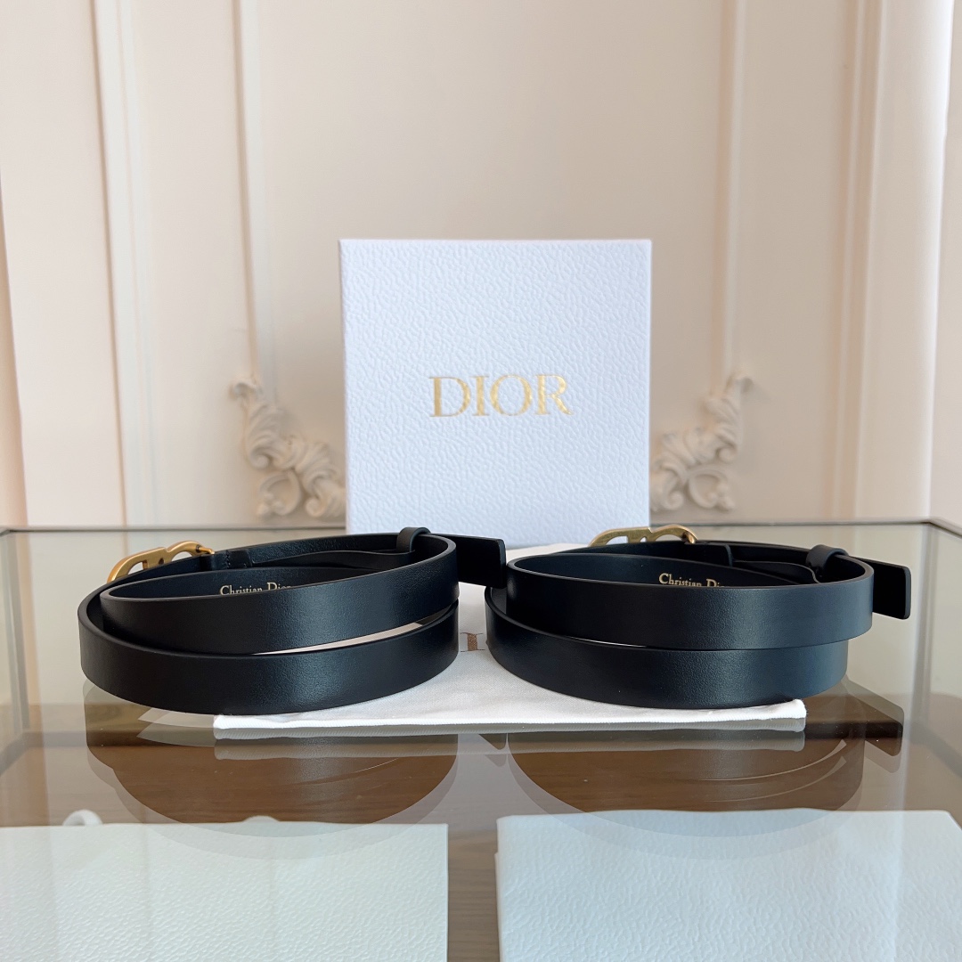 DIOR  饰品皮带,dior 4