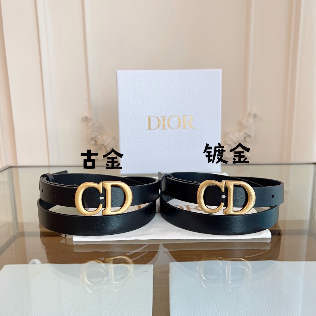 DIOR  饰品皮带,dior 2