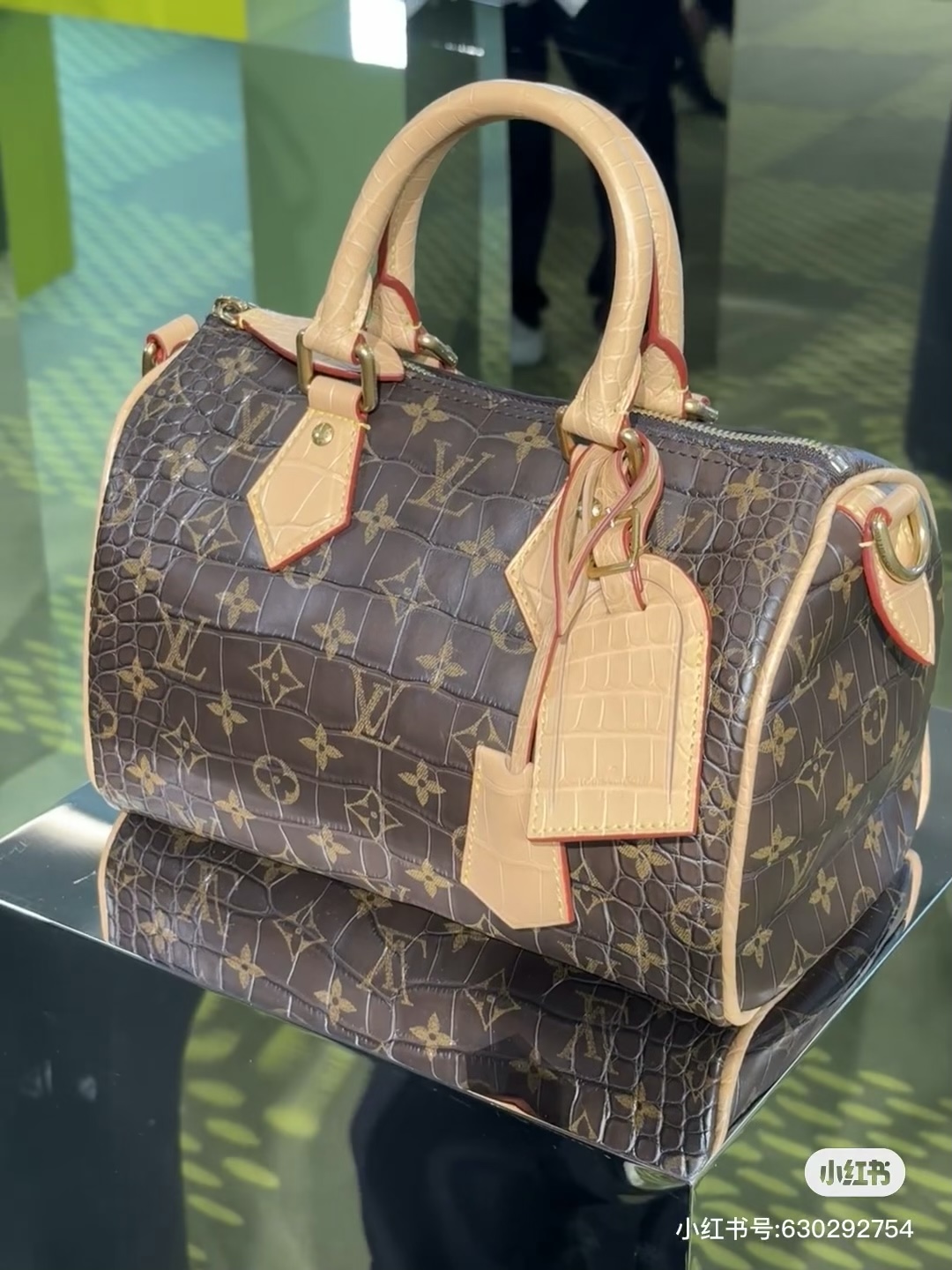 루이비통(버드케이지) M13904 가방 Louis Vuitton Bag